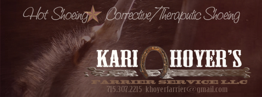 kari facebook banner
